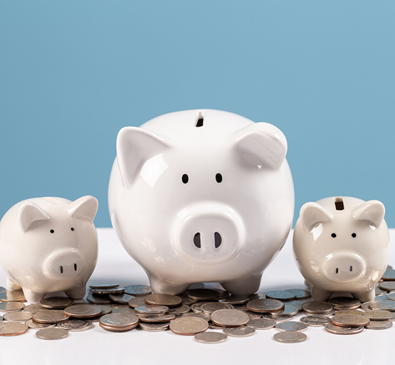 Three piggy banks surrounded by coins